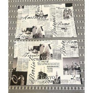 Set of 2 Alamode Home Passport Shams Black White Reversible Cotton Cities News